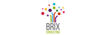Brix Consulting - Top Companies Brix Consulting